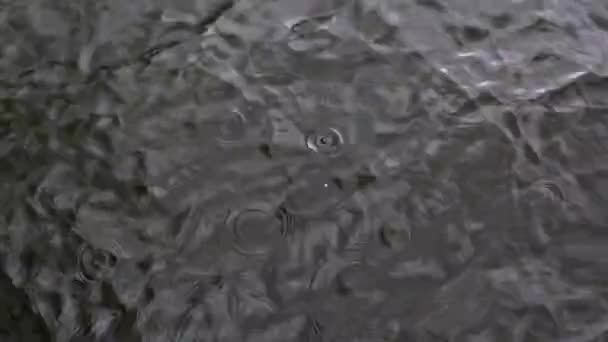 Captura Lluvia Ligera Lago Conroe Ubicado Conroe Texas — Vídeos de Stock