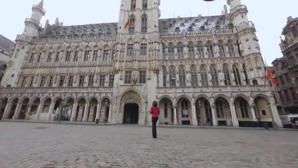 Rådhuset Bryssel Belgien Downtown Building Med Statyer — Stockvideo