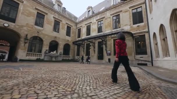 Câmara Municipal Bruxelas Bélgica Edifício Centro Com Estátuas — Vídeo de Stock