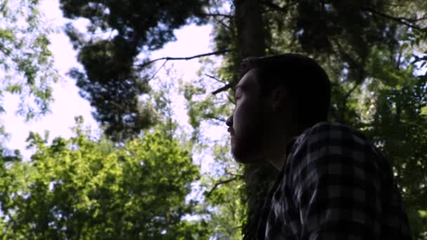 Homem Vira Dramaticamente Olha Para Árvores Acima Dele Uma Floresta — Vídeo de Stock