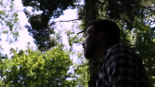 Homme Retourne Dramatiquement Regarde Les Arbres Dessus Lui Dans Une — Video