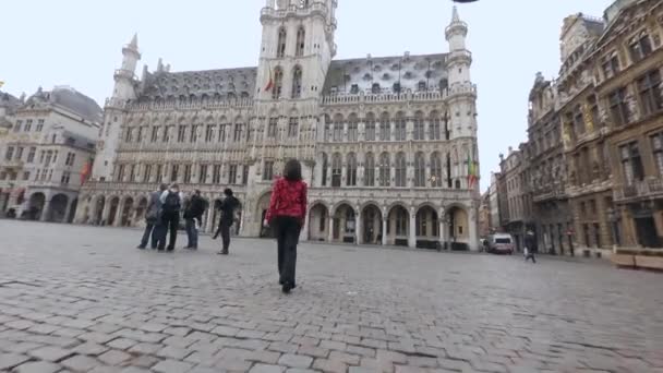 City Hall Brussels Belgium Downtown Building Statues — ストック動画