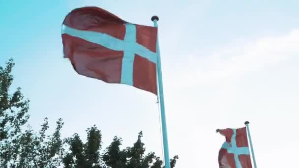 Нормальный Ветреный Датский Флаг Голубом Безоблачном Небе — стоковое видео