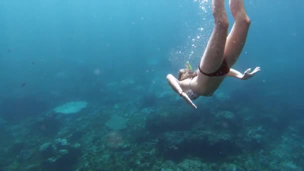 Mujer Joven Buceando Bajo Agua — Vídeos de Stock