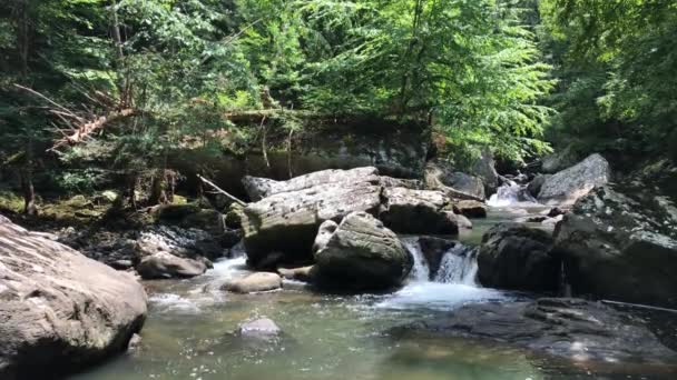 Small Waterfall Fall Creek Falls Park — Stock Video