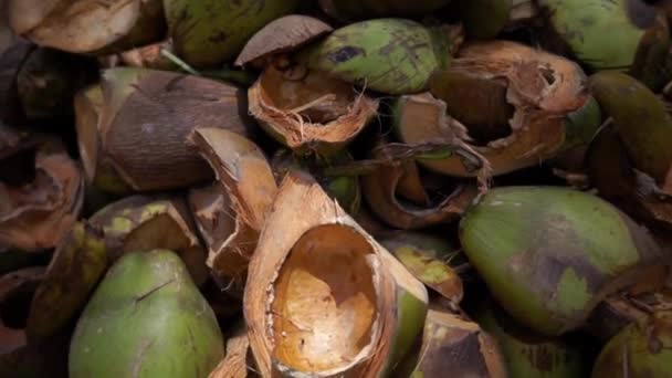 Lege Kokosschelpen Een Hoop Afval — Stockvideo