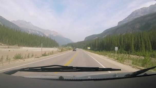 Caribou Crossing Warning Sign Icefields Parkway Jasper National Park — Stock Video