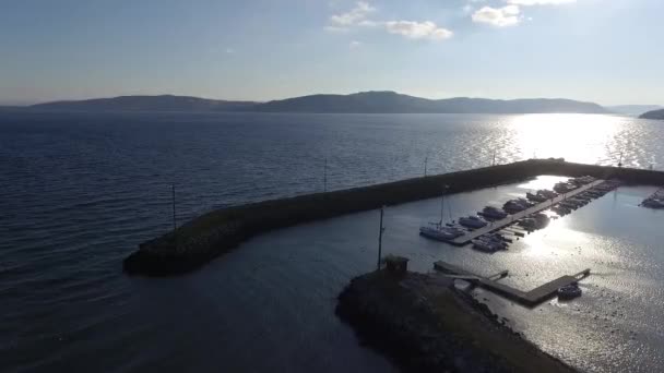 Flygning Båtar Norska Hamnen — Stockvideo