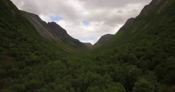 Imágenes Drones Lentas Sobre Bosques Jungla Originadas Por Motines Empinados — Vídeo de stock