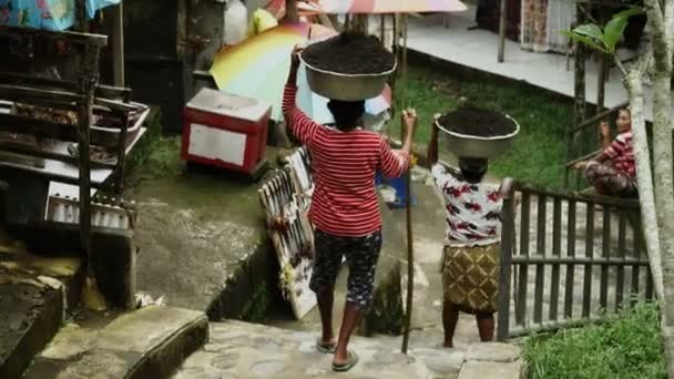 Las Mujeres Balinesas Transportan Mercancías Sus Cabezas — Vídeos de Stock