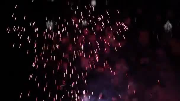 Πυροτεχνήματα Κατά Διάρκεια Της Νύχτας Στο Recco Ιταλία — Αρχείο Βίντεο