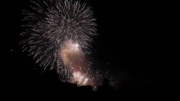 Vuurwerk Tijdens Vakantie Video — Stockvideo