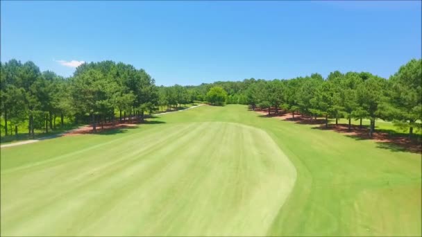 Aeiral Shot Golf Course Starting Low Taking Tree Line Review — Stock Video