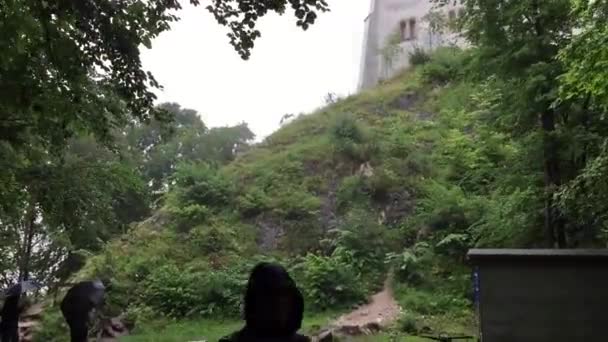 Atrás Castelo Neuschwanstein Baviera Alemanha Sob Chuva — Vídeo de Stock