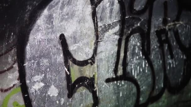 Verlassenes Betongebäude Mit Grafitti Der Natur Dänischen Sommer Innenschuss Zeitlupe — Stockvideo