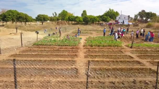 Amerikaner Und Simbabwer Arbeiten Gemeinsam Einem Garten Afrika Tieffliegerdrohne Abgeschossen — Stockvideo