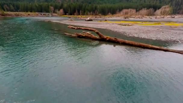 Повітряний Знімок Загиблих Дерев Річці Біля Важкого Лісового Гірського Хребта — стокове відео