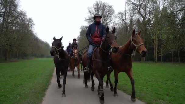 Trotting Horses Slow Motion — Stockvideo