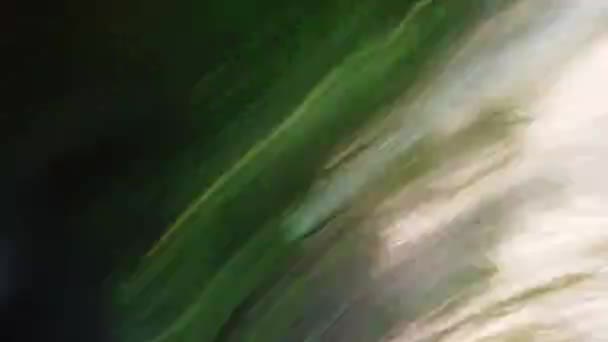 无人机撞到树上了 — 图库视频影像