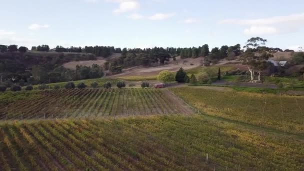 Vegende Luchtfoto Van Prachtige Wijngaard Yarra Valley Australië — Stockvideo