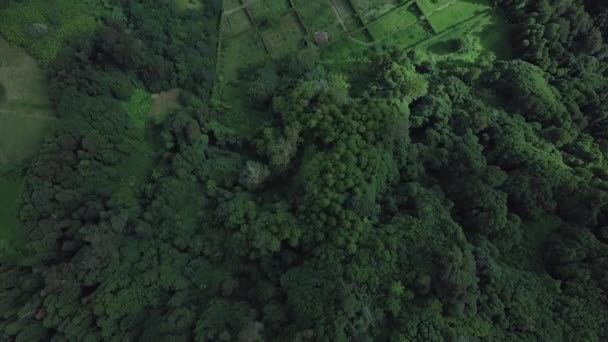 Aereo Drone Alte Foreste Sovrastanti Giardini Logoa Das Furnas Lago — Video Stock