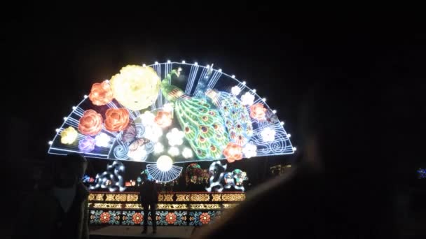 Lanterna Cinese Luci Pavoni Tra Bellissimi Fiori Notte — Video Stock