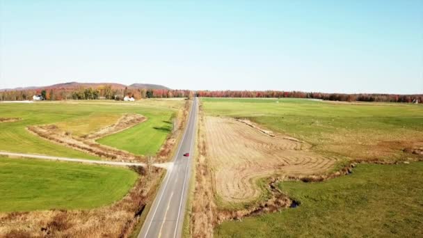 Foto Aerea Auto Della Red Mustang Che Percorre Una Strada — Video Stock