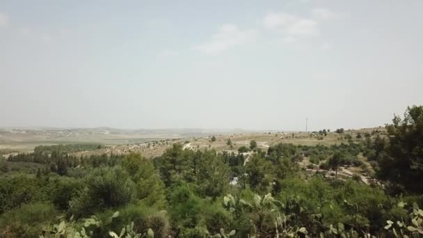 ペルーの森 ラトロン エルサレムの近く イスラエル 木々や地形を飛行するドローン — ストック動画