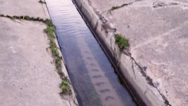 Canal Drainage Inondation Avec Deux Tuyaux — Video