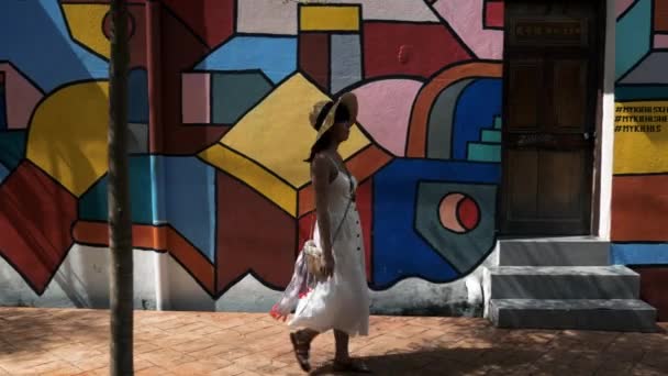 Malacca Maleisië Toeristische Vrouw Loopt Langs Straat Grafitti Art Wall — Stockvideo