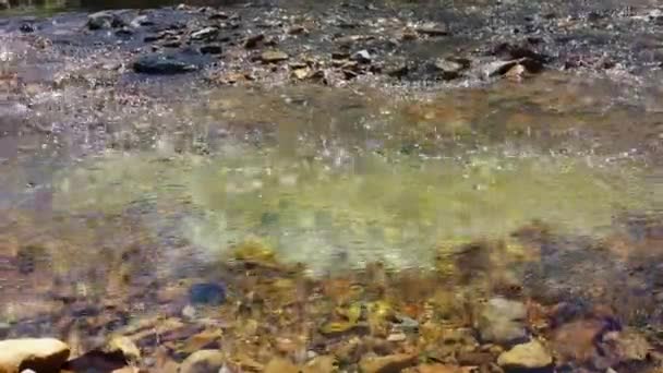 Landströme Die Hindurchfließen Einige Felsen — Stockvideo