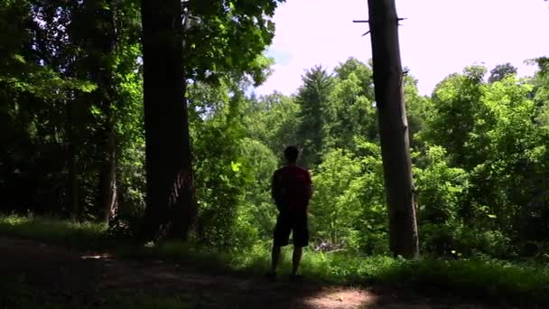 Caminhante Silhueta Entre Duas Árvores Altas Admirando Floresta — Vídeo de Stock