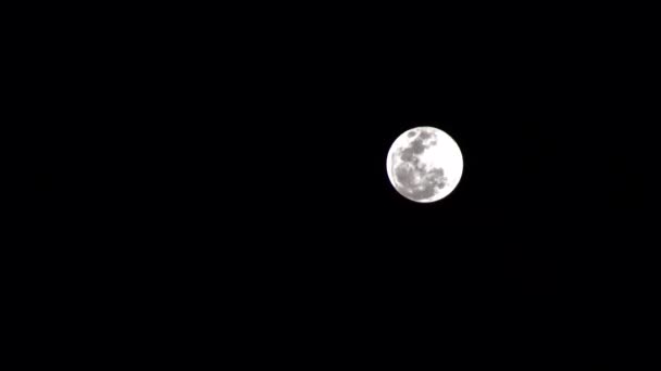 Полная Луна Перед Полным Лунным Затмением Йоханнесбурга Юар — стоковое видео