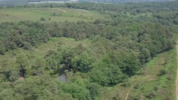 Vlieg Een Prachtig Bos Met Een Vijver Devon Engeland Statische — Stockvideo
