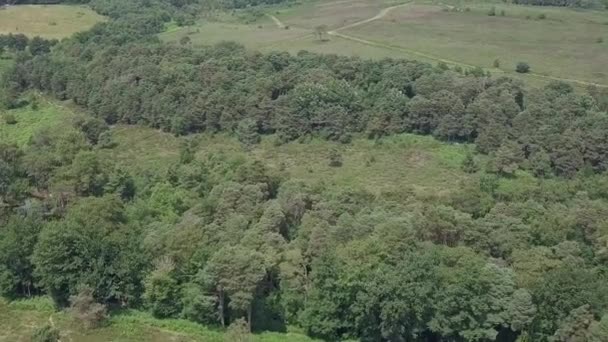 Voando Alto Sobre Campos Rurais Bosques Devon Crop Estático — Vídeo de Stock