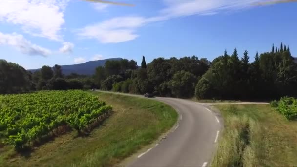 Drone Tourné Déplaçant Proximité Une Petite Route Encadrée Par Des — Video