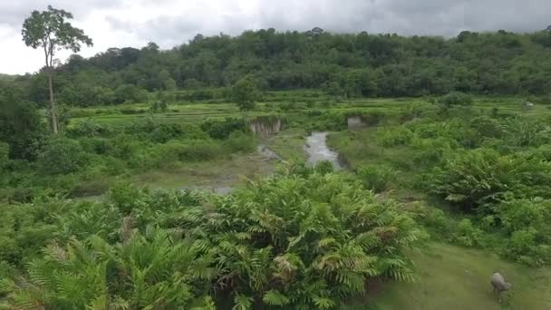 Αυτό Μέρος Βρίσκεται Κοντά Στο Μπουκιτίνγκι Δυτική Σουμάτρα Ινδονησία — Αρχείο Βίντεο