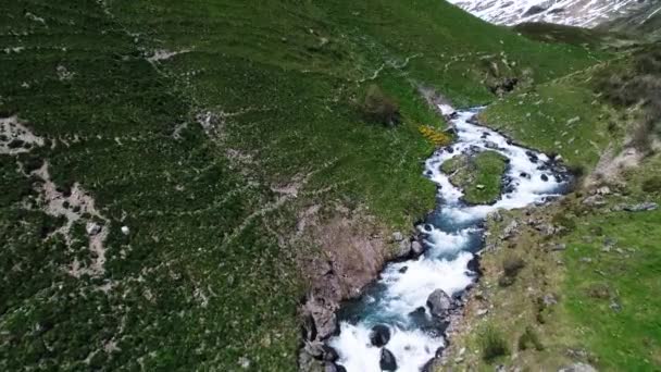 Bellissimo Fiume Montagna Nelle Alpi Svizzere Una Giornata Sole Engelberg — Video Stock