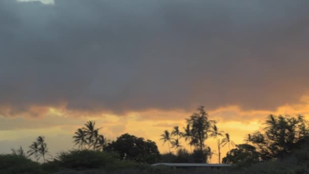 Dit Een Dolly Shot Van Een Zonsondergang Het Strand — Stockvideo