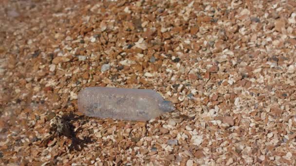 Jonge Vrouw Loopt Langs Het Strand Pikt Plastic Fles Slow — Stockvideo