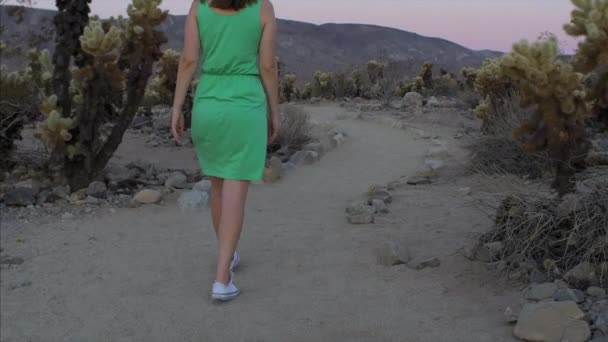 Mujer Vestida Verde Caminando Por Sendero Desierto — Vídeos de Stock