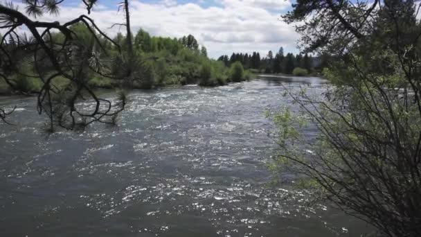 Deschutes River Bend Oregon Moving Slow Motion 120 Fps — Stock video