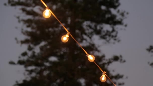 Лампочки Нічному Житті — стокове відео
