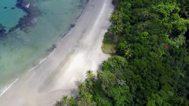 Jungle Tropicale Rencontre Récif Corallien Vol Aérien Révélant Des Montagnes — Video