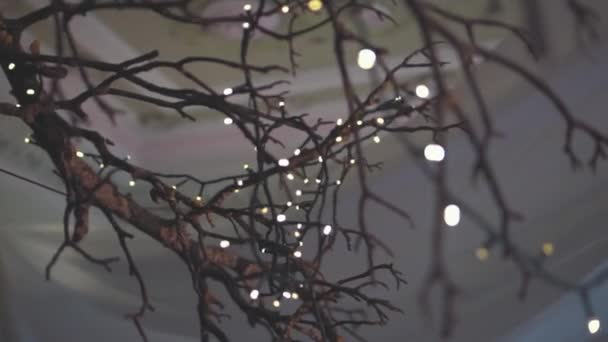 Luzes Fadas Vintage Uma Árvore Decorações Casamento Cinematográficas Grau Cor — Vídeo de Stock