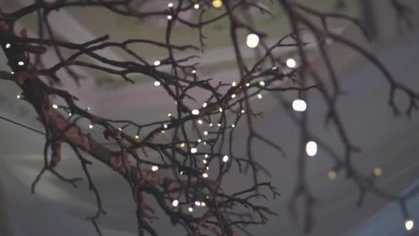 Luces Hadas Vintage Árbol Decoraciones Boda Cinematográficas Color Clasificado — Vídeo de stock