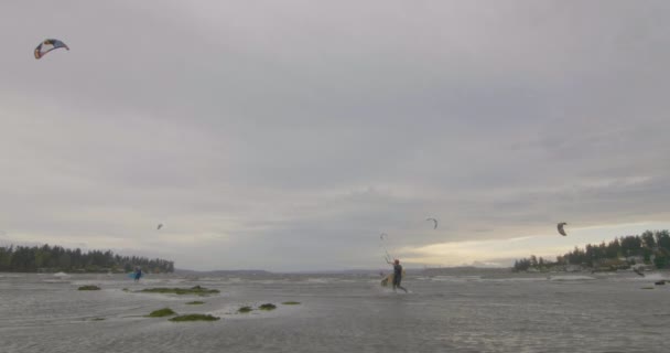 Aquiloni Nel Cielo Kitesurfer Piedi Nuovo Sulla Spiaggia — Video Stock