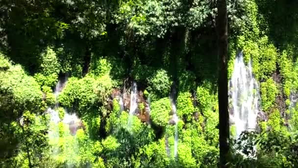 Függönyös Vízesésekkel Zöld Füves Falakkal Összefutott Folyóval Reggel Szivárványt Kapott — Stock videók