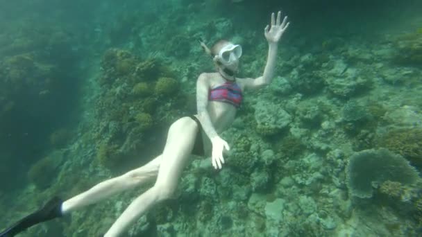 Κορίτσι Μπικίνι Κολυμπάει Παιχνιδιάρικα Ενώ Κάνει Καταδύσεις Έναν Όμορφο Ύφαλο — Αρχείο Βίντεο