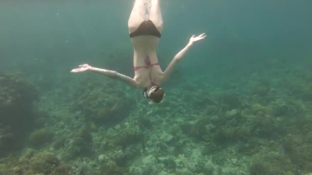 身穿比基尼的女人屏住呼吸 潜入蔚蓝大海的深处 探索她脚下的珊瑚礁 水下慢动作场景 — 图库视频影像